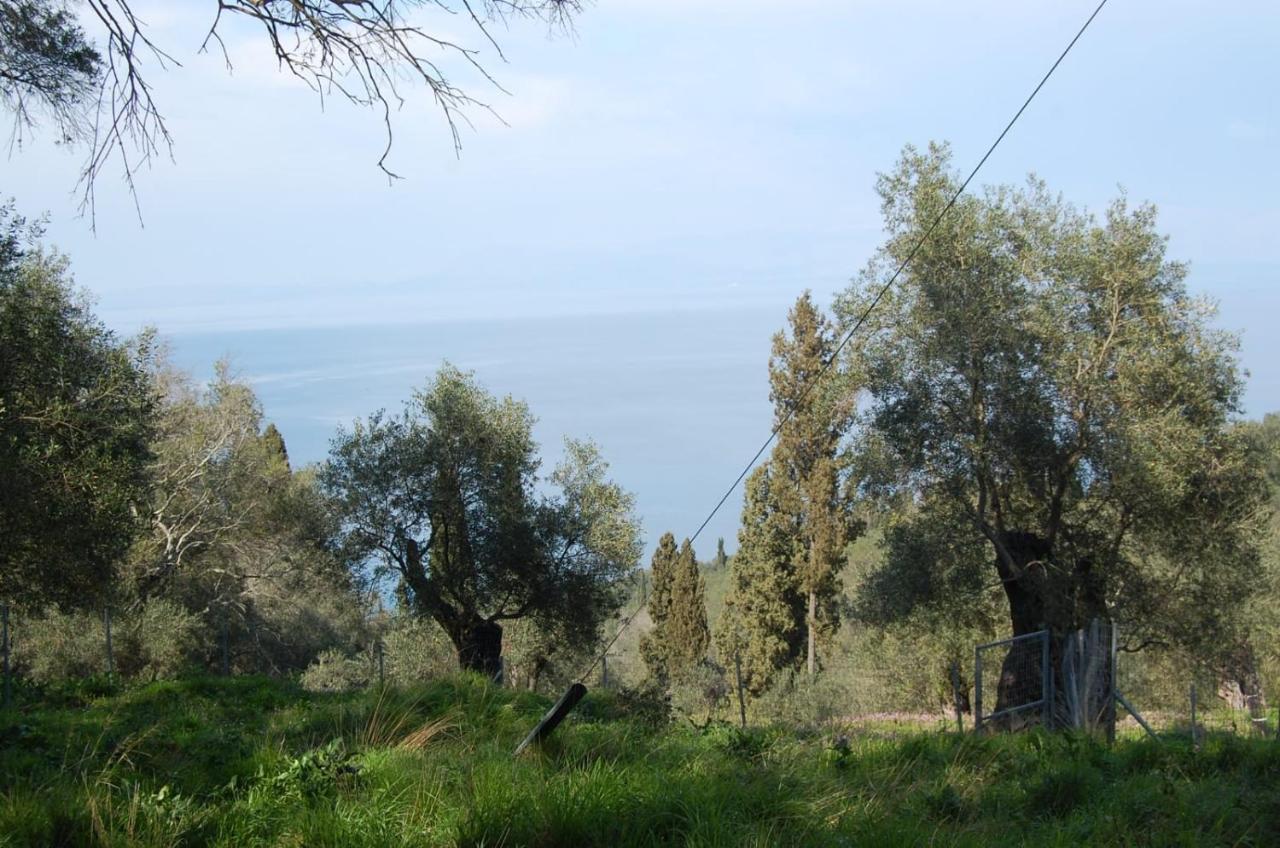 Villa Korakades Bagian luar foto